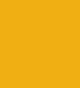 P-198(Mango)